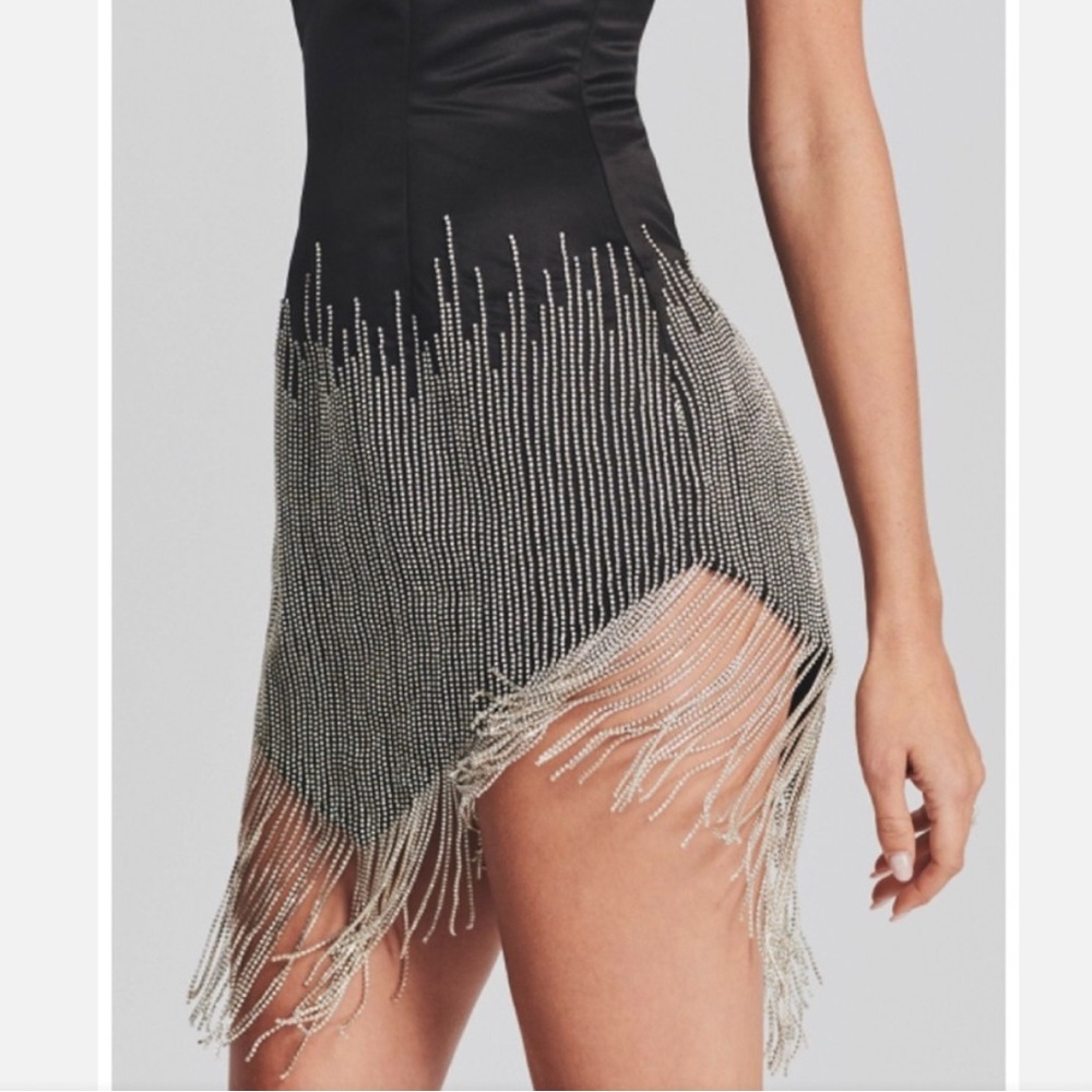 Retrofete Elegant Black and Silver Fringe Dress - Picture 6 of 16
